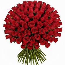 Букет Красные розы Чери Лав в Рагулях