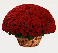 Премиум букет из: Розы в Рагулях