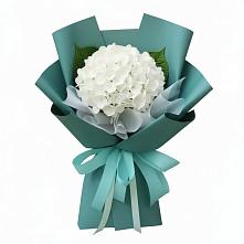 Букет цветов из:  Гортензия #REPLACE_PRED# Рагулях